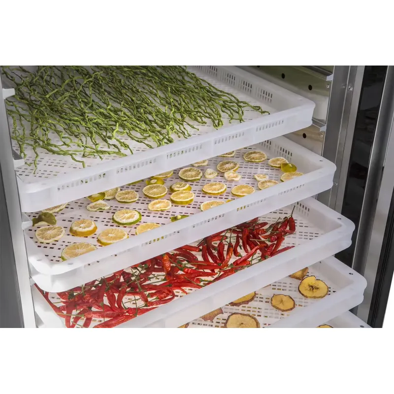 35 to 55 Degree Drying Machine - Commercial Food Dehydrator recension och pris