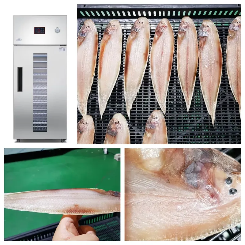 35 to 55 Degree Drying Machine - Commercial Food Dehydrator recension och pris